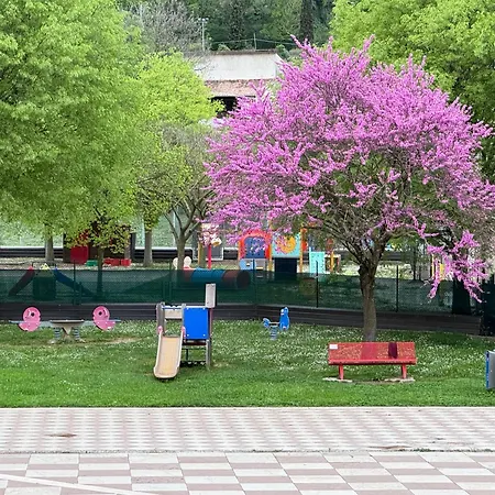 Casa Paradiso * 보르소 델 그라파